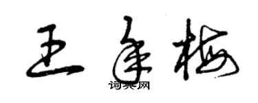 曾庆福王年梅草书个性签名怎么写