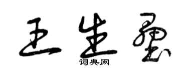 曾庆福王生垒草书个性签名怎么写