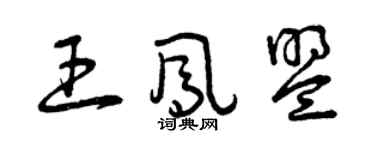 曾庆福王凤盟草书个性签名怎么写