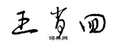 曾庆福王肖回草书个性签名怎么写