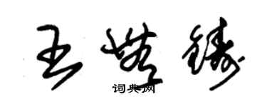 朱锡荣王无铸草书个性签名怎么写