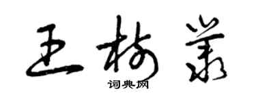 曾庆福王树丛草书个性签名怎么写