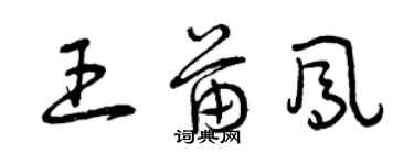 曾庆福王苗凤草书个性签名怎么写