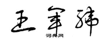 曾庆福王军纬草书个性签名怎么写