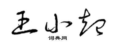 曾庆福王小起草书个性签名怎么写