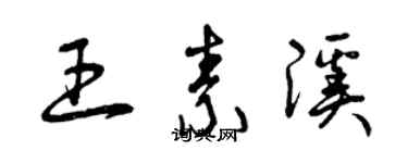 曾庆福王素溪草书个性签名怎么写