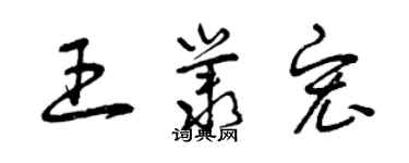 曾庆福王丛宏草书个性签名怎么写