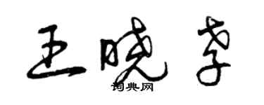 曾庆福王晓孝草书个性签名怎么写