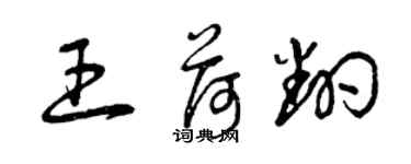 曾庆福王荷翻草书个性签名怎么写