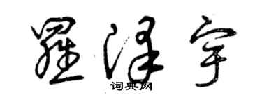 曾庆福罗泽宇草书个性签名怎么写