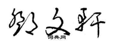 曾庆福邓文轩草书个性签名怎么写