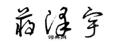 曾庆福蒋泽宇草书个性签名怎么写