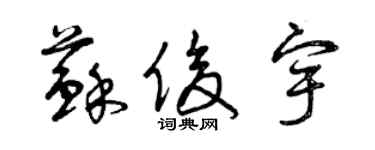 曾庆福苏俊宇草书个性签名怎么写