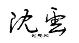 曾庆福沈云草书个性签名怎么写