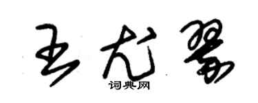 朱锡荣王尤翠草书个性签名怎么写