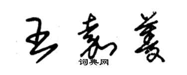 朱锡荣王嘉菱草书个性签名怎么写
