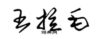 朱锡荣王拉毛草书个性签名怎么写