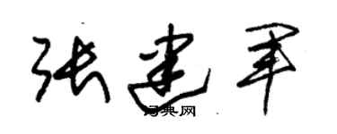 朱锡荣张建军草书个性签名怎么写