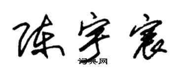 朱锡荣陈宇宸草书个性签名怎么写