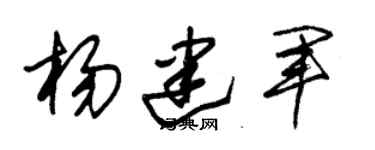 朱锡荣杨建军草书个性签名怎么写