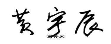 朱锡荣黄宇辰草书个性签名怎么写