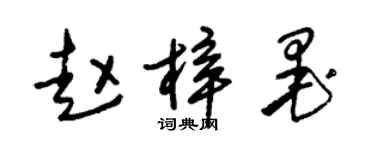 朱锡荣赵梓墨草书个性签名怎么写