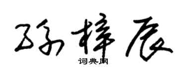 朱锡荣孙梓辰草书个性签名怎么写