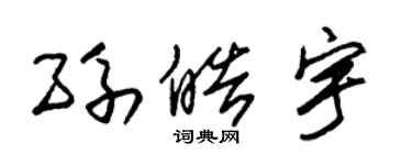 朱锡荣孙皓宇草书个性签名怎么写