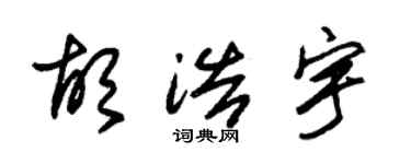 朱锡荣胡浩宇草书个性签名怎么写