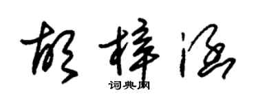 朱锡荣胡梓涵草书个性签名怎么写