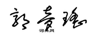 朱锡荣郭梦瑶草书个性签名怎么写