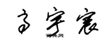 朱锡荣高宇宸草书个性签名怎么写