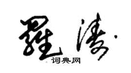 朱锡荣罗涛草书个性签名怎么写