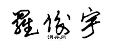 朱锡荣罗俊宇草书个性签名怎么写