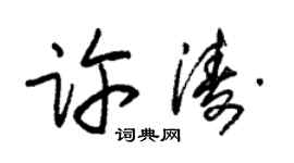 朱锡荣许涛草书个性签名怎么写
