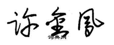 朱锡荣许金凤草书个性签名怎么写