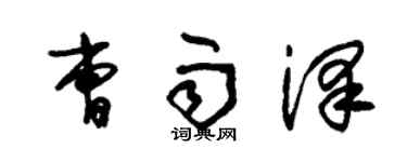 朱锡荣曹雨泽草书个性签名怎么写
