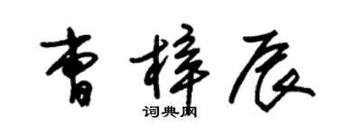 朱锡荣曹梓辰草书个性签名怎么写