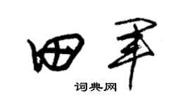 朱锡荣田军草书个性签名怎么写