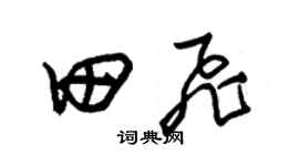 朱锡荣田飞草书个性签名怎么写