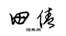 朱锡荣田倩草书个性签名怎么写