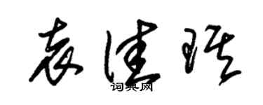 朱锡荣袁佳琪草书个性签名怎么写