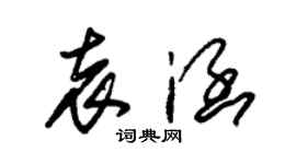 朱锡荣袁涵草书个性签名怎么写