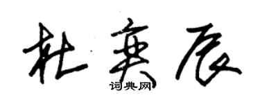 朱锡荣杜奕辰草书个性签名怎么写