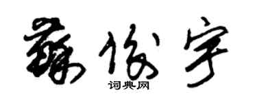 朱锡荣苏俊宇草书个性签名怎么写