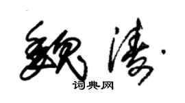 朱锡荣魏涛草书个性签名怎么写