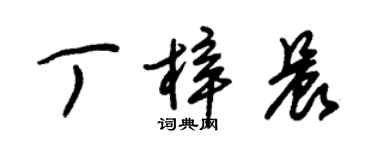 朱锡荣丁梓晨草书个性签名怎么写