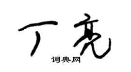 朱锡荣丁亮草书个性签名怎么写
