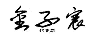 朱锡荣金子宸草书个性签名怎么写