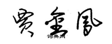 朱锡荣贾金凤草书个性签名怎么写